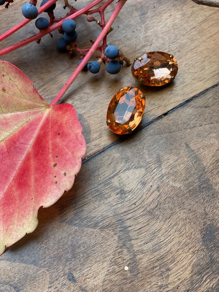 Chantal clip earrings