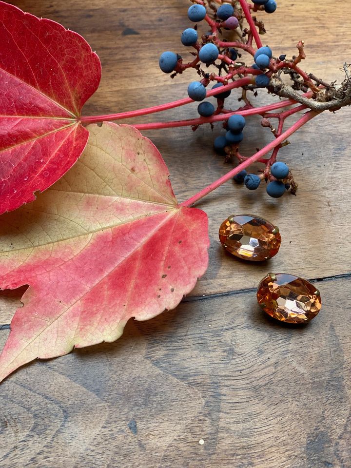 Chantal clip earrings