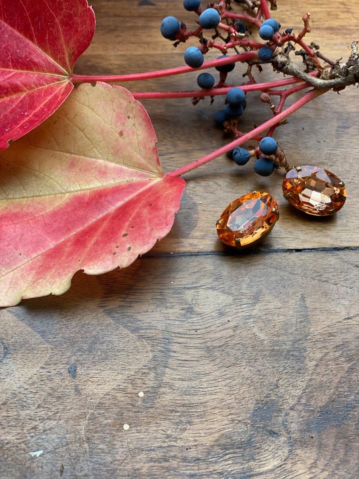 Chantal clip earrings