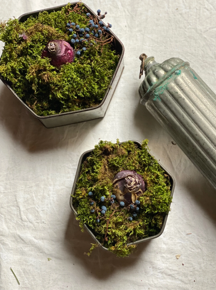 Anais Metal Pot Covers