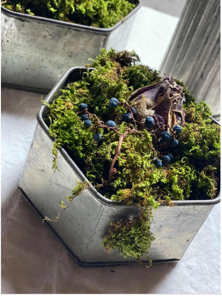 Anais Metal Pot Covers