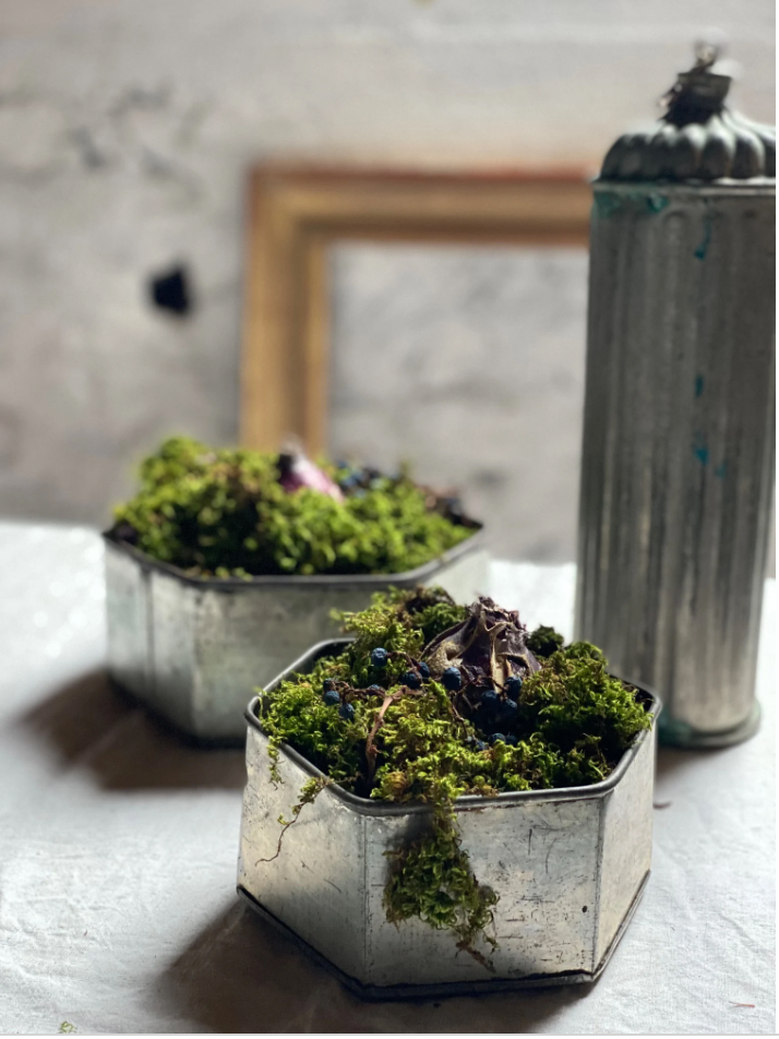 Anais Metal Pot Covers