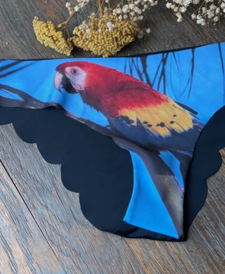 Cool Panties N.10