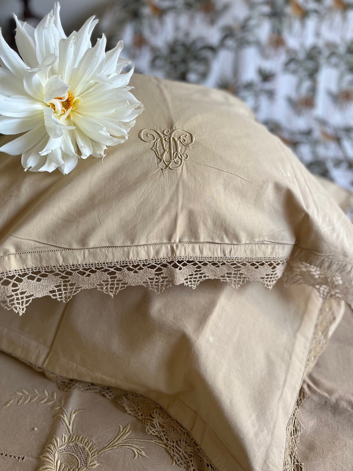 Drap et Taies Moutarde