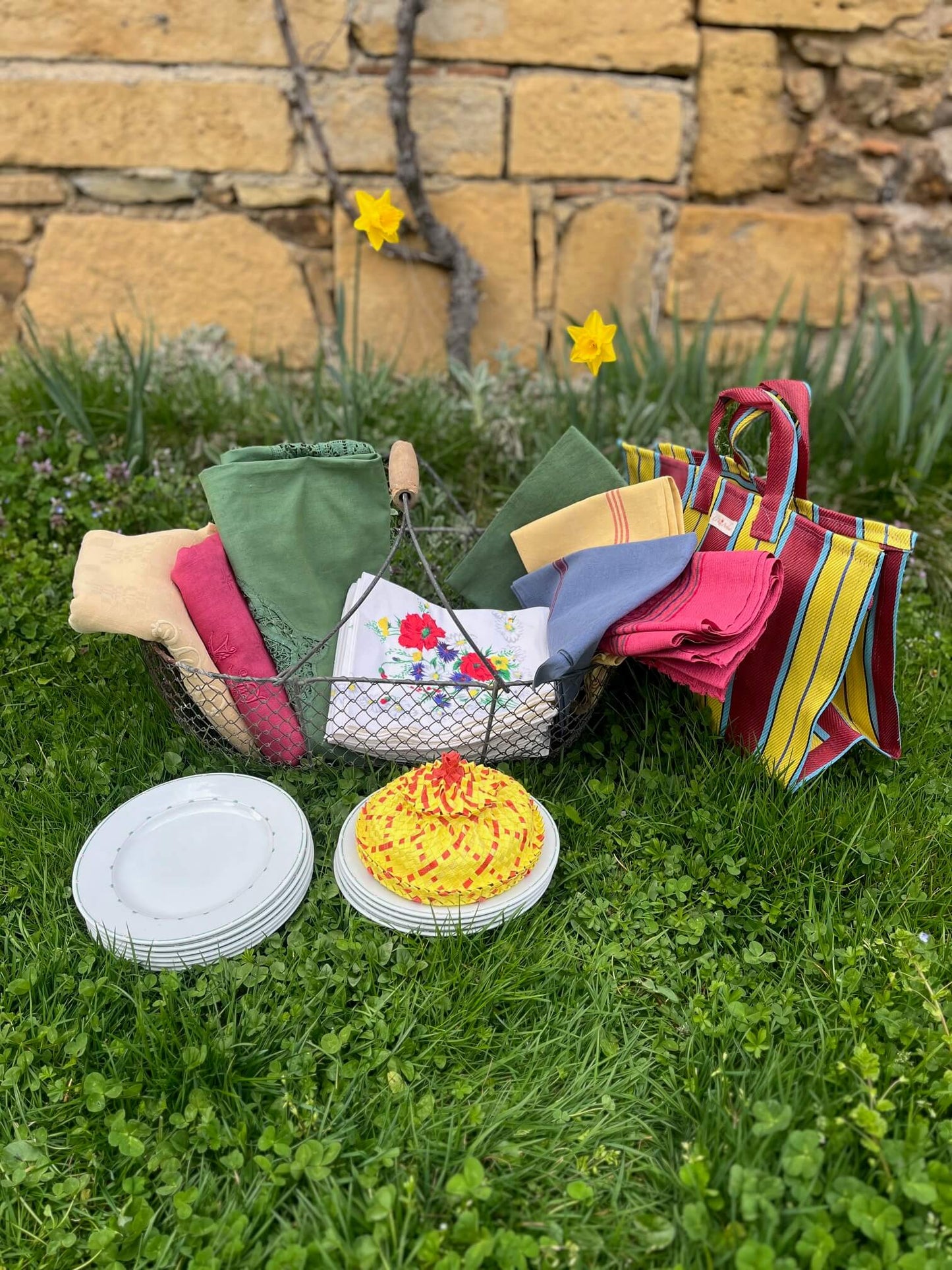 Scène de pique-nique chic avec serviettes fleuries vintage et vaisselle rétro sur l’herbe