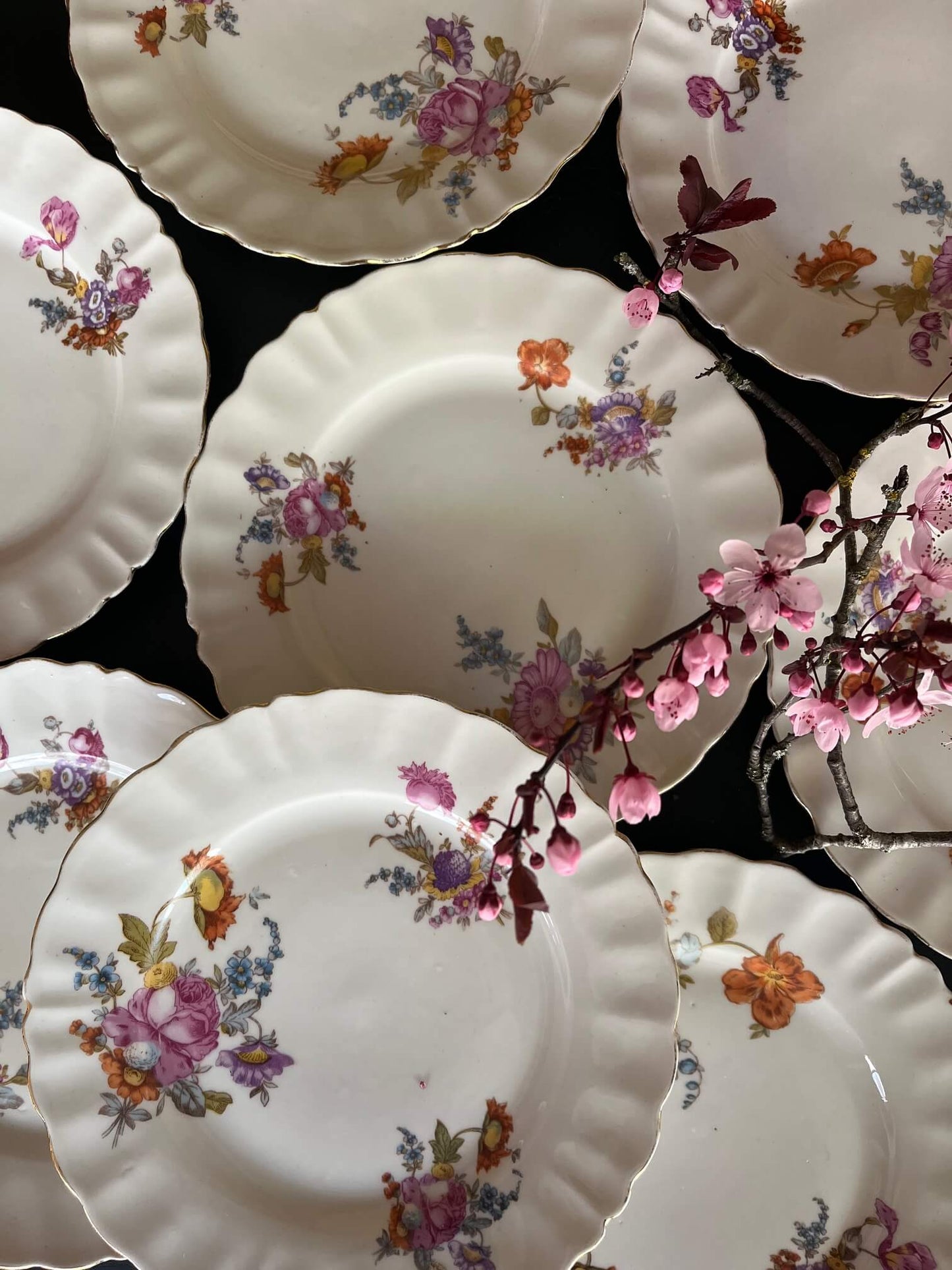 9 assiettes anciennes Foléa Frères Digoin 