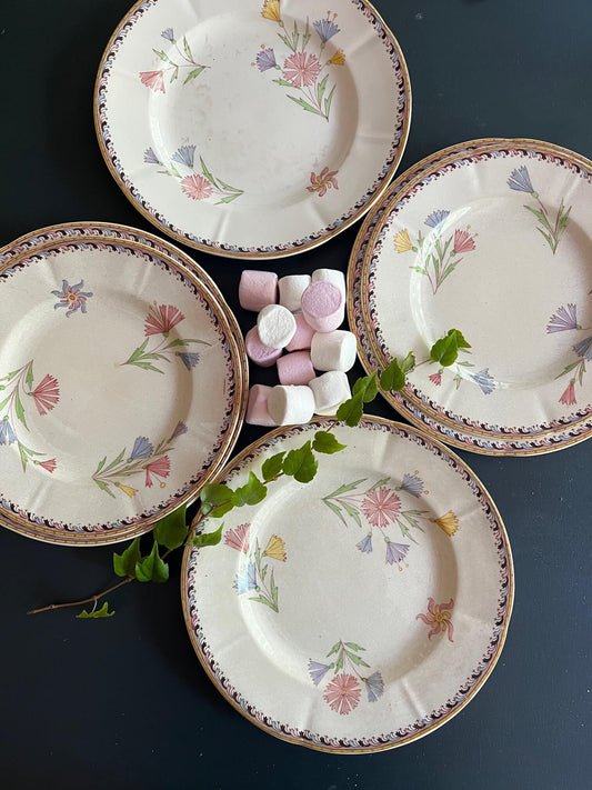 Assiettes anciennes Sarreguemines modèle Diogène faïence française terre de fer vintage