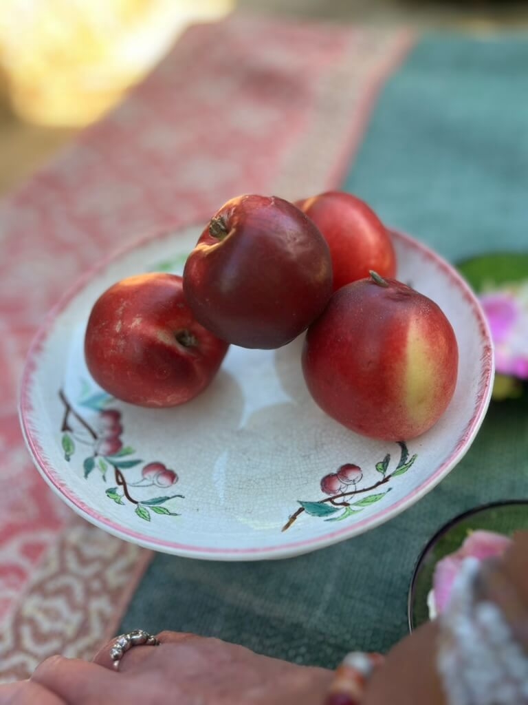 Compotier ancien avec nectarines dans une décoration de table campagne chic