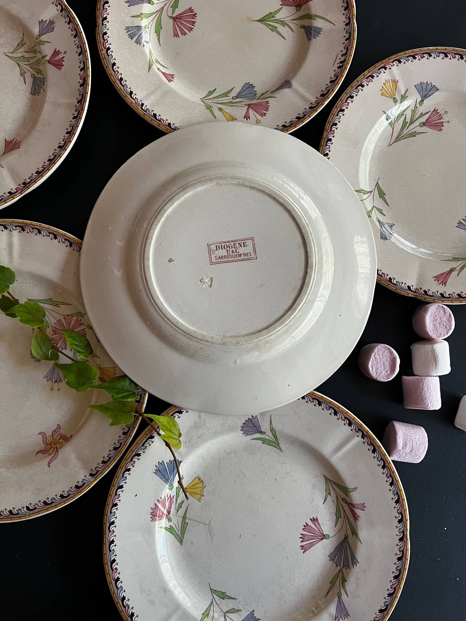 Faïence Sarreguemines Diogène accrochée mur cuisine déco vintage française